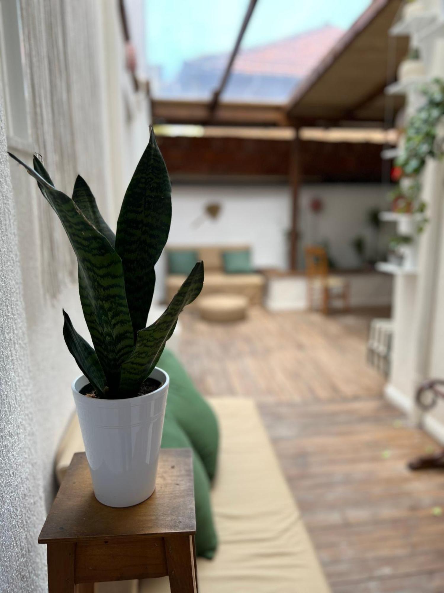 Trip'N'Hostel Chill Zone Тирана Екстериор снимка